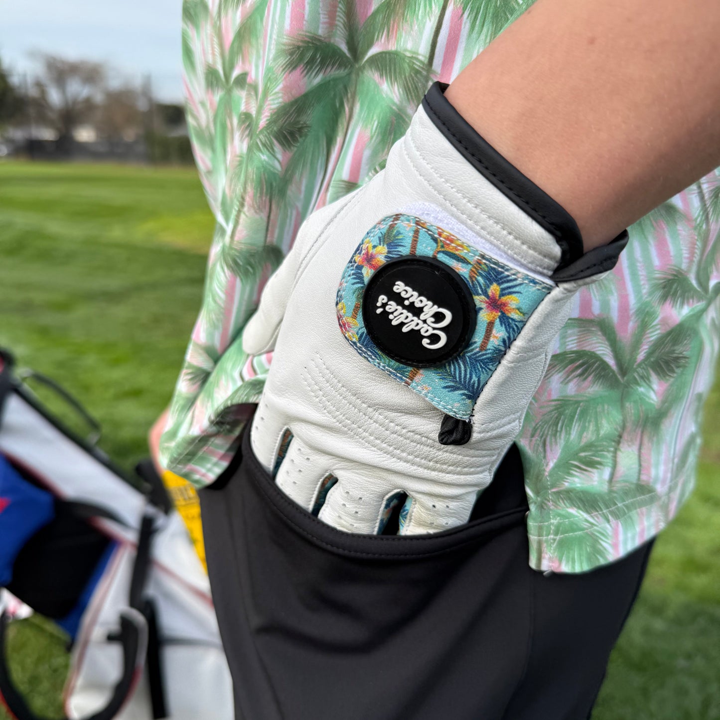 "Florenza" Premium Cabretta Golf Gloves
